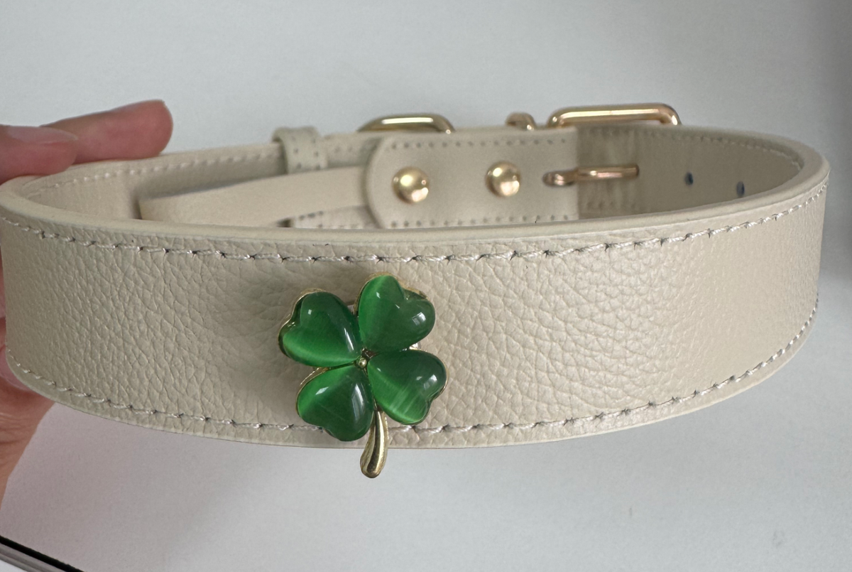 DIY collar