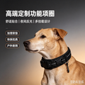 dog functional collar